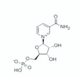Shop Pure NMN Powder Bulk-Detailed Image 1