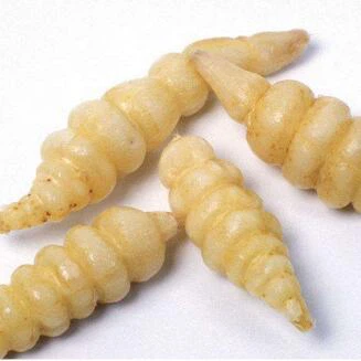 (QIV8D$C{M2W~AKKBN2KEGM