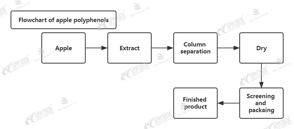 Flowchart of apple polyphenols