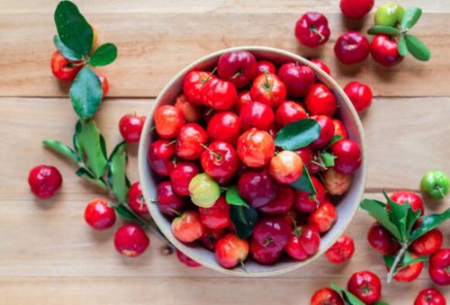 info-581-394 info-581-394