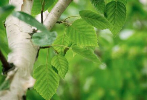 info-435-297 info-435-297