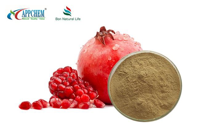 Ellagic Acid Pomegranate Extract