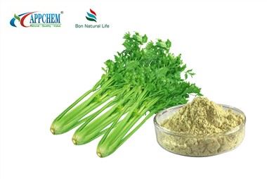 calcium carbonate dietary supplement