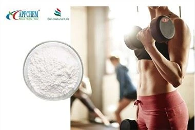 gmp food supplements