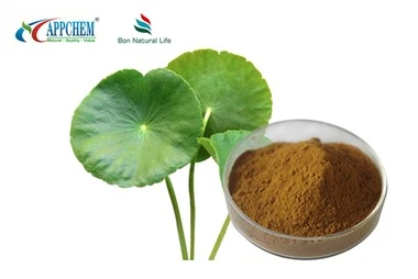 blood pressure dietary supplements