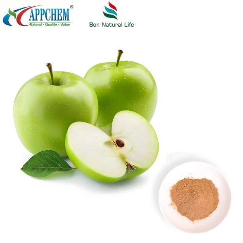 Antioxidant Ingredient Procyanidin B2 Powder
