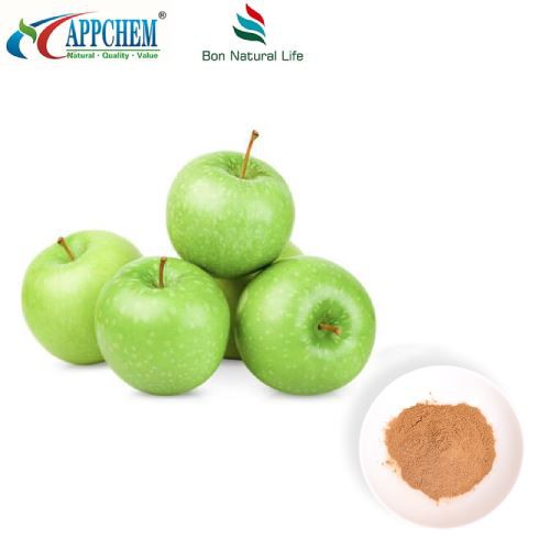Apple Extract Procyanidin B2 Powder In Stock
