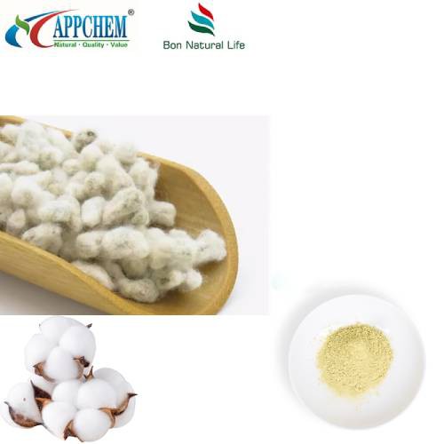 Cotton Seed Extract Powder