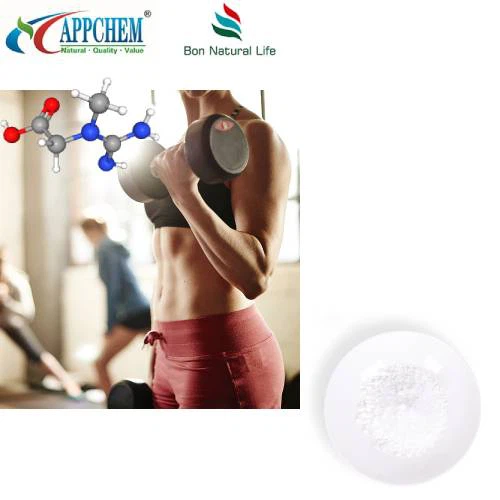 Creatine Monohydrate Powder