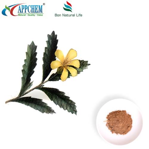 Damiana Extract Powder