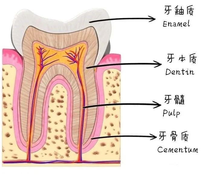 info-672-598 info-672-598