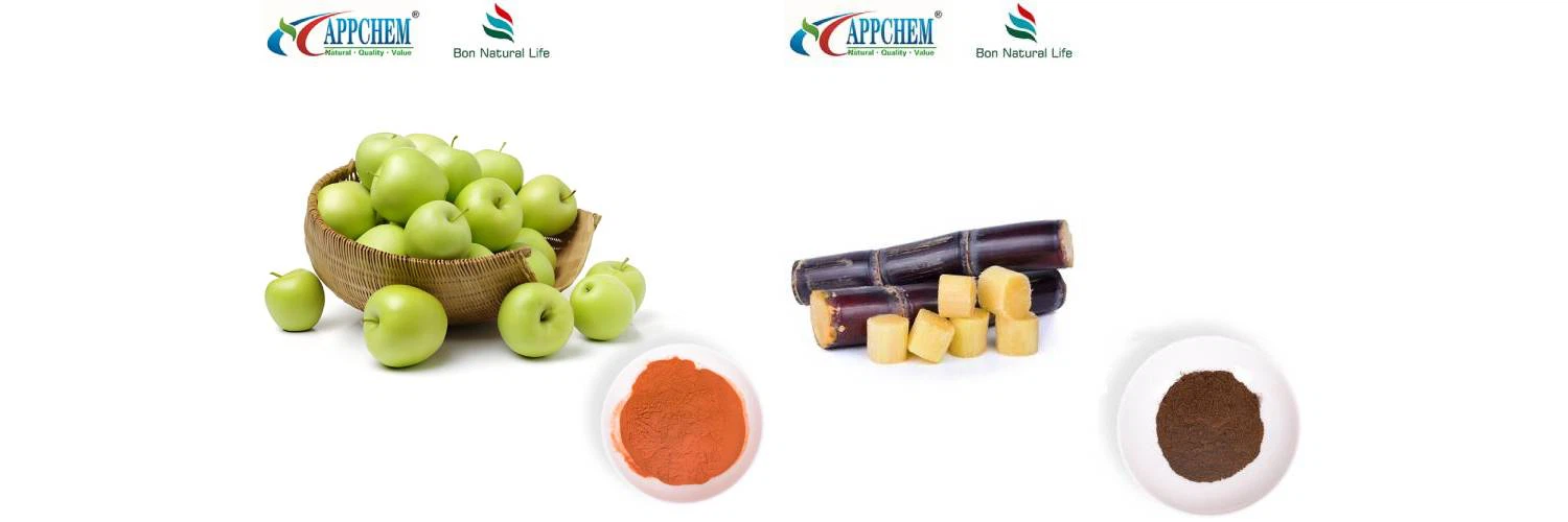 - 2025-12-31T1413021251 - 2025-12-31T1413021251