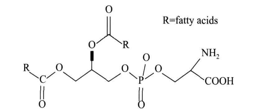 ps