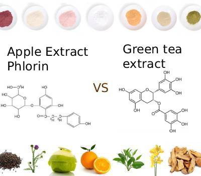 Phlorizin vs Green Tea Extract: Which Ingredient Supports Better Metabolism?