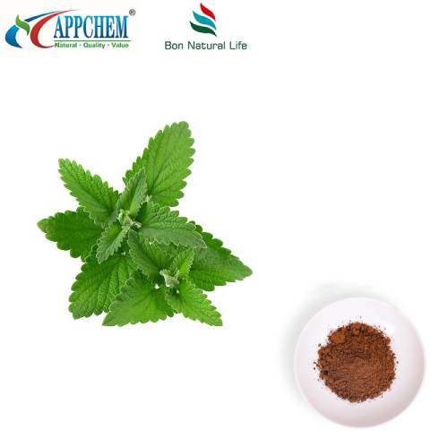 Lemon Balm Extract Powder
