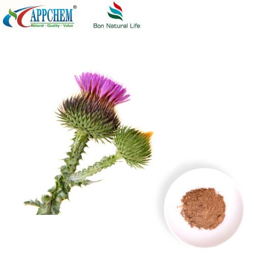 Milk Thistle Seed Extract