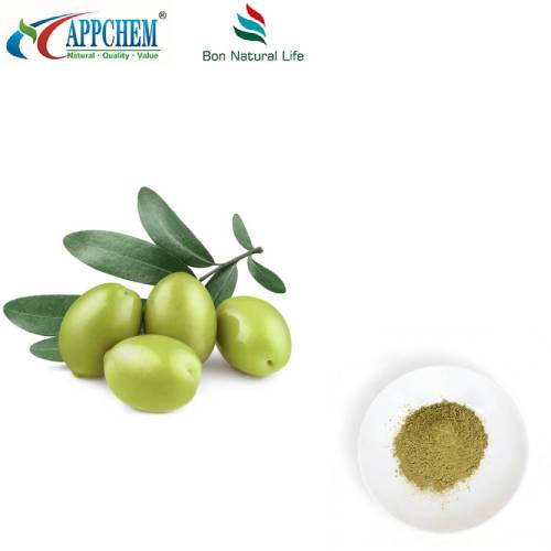 Olive Leaf Extract Oleuropein Powder Bulk Supply