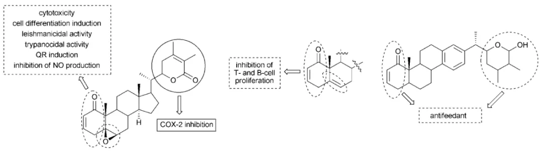 Shop Ashwagandha Extract Powder (Withanolides) Manufacture 30655-48-2-Detailed Image 2