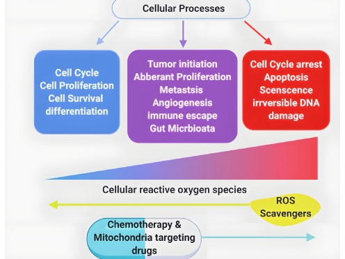 ROS-496-372 ROS-496-372