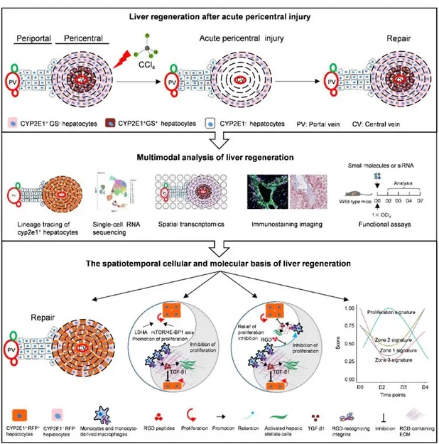 product-618-618 product-618-618