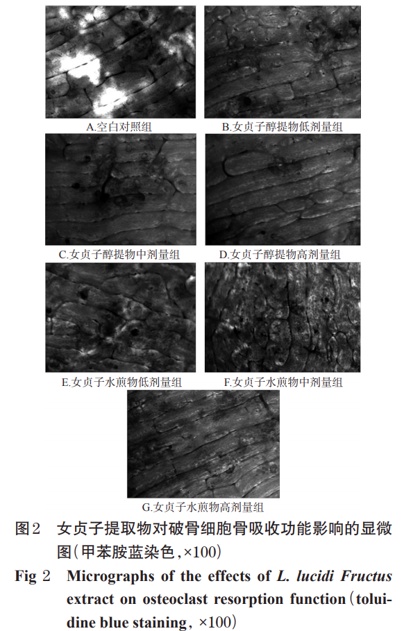 product-1-1 product-1-1