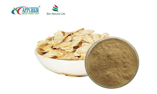 Panax Quinquefolius Extract Panax Quinquefolius Extract