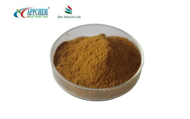 Radix Astragali Extract Powder