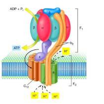 atp-210-210 atp-210-210