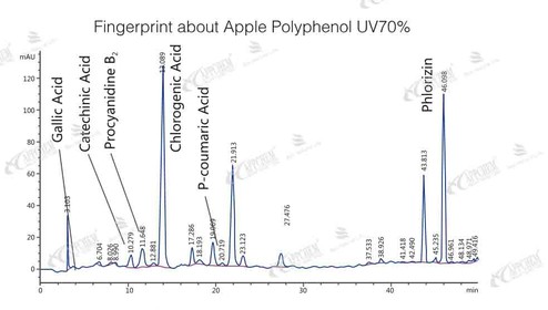 apple polyphenol fingerprint apple polyphenol fingerprint