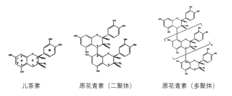 proanthocyanidin family proanthocyanidin family