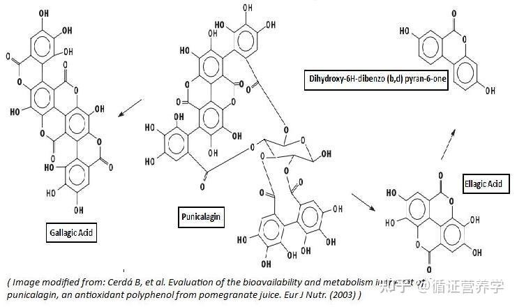 macromolecular structure macromolecular structure