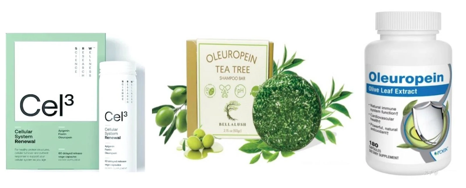 oleuropein product application oleuropein product application