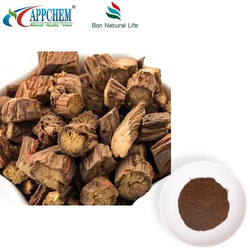 Salvia Miltiorrhiza Extract Powder