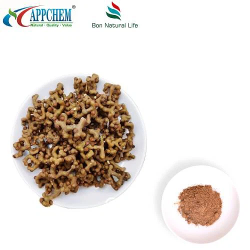 Semen Hoveniae Extract Powder