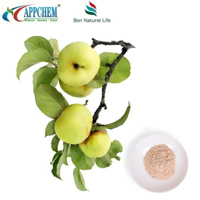 Apple Extract Phlorizin Factory Sample