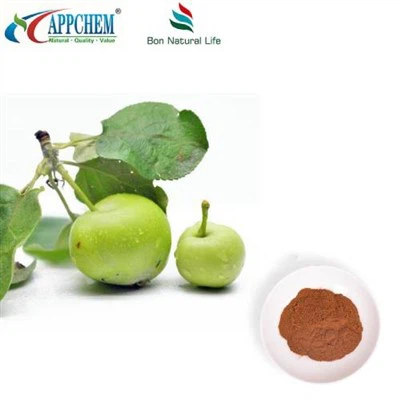 Apple Polyphenols Powder UV70% Patented Product
