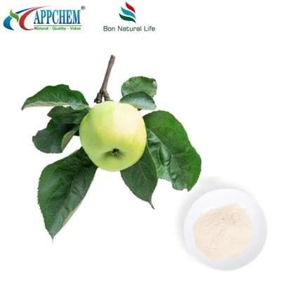 Phlorizin 60-82-1 Blood Glucose Management Ingredient