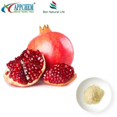 Pomegranate Extract Ellagic Acid HPLC98% 476-66-4