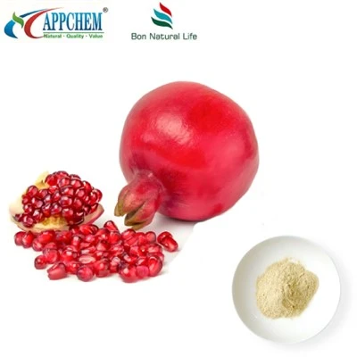Pomegranate Peel Extract Powder Bulk Supply