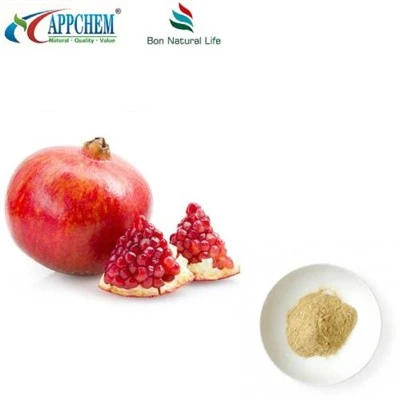 Pomegranate Peel Extract Powder HPLC Test Data