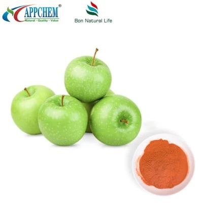 Pure Apple Extract Powder
